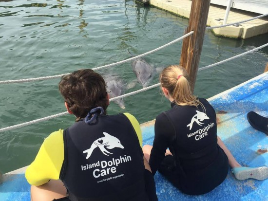 12741877_1183405431684835_6507274303510066631_n