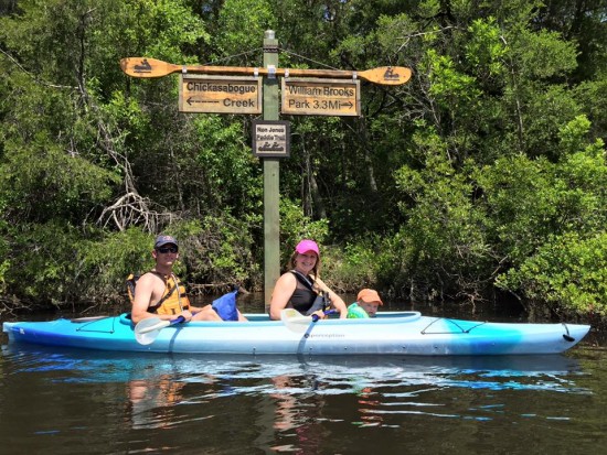 13239020_1760214227544520_4641359210474278942_n